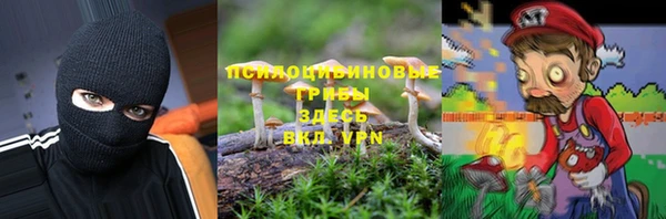 прущий лед Аркадак