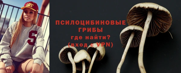 прущий лед Аркадак