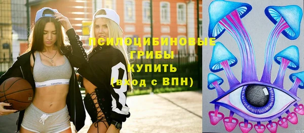 прущий лед Аркадак